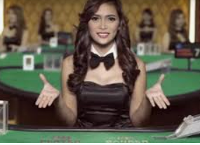 天庭娱乐3621官网版2024最新版